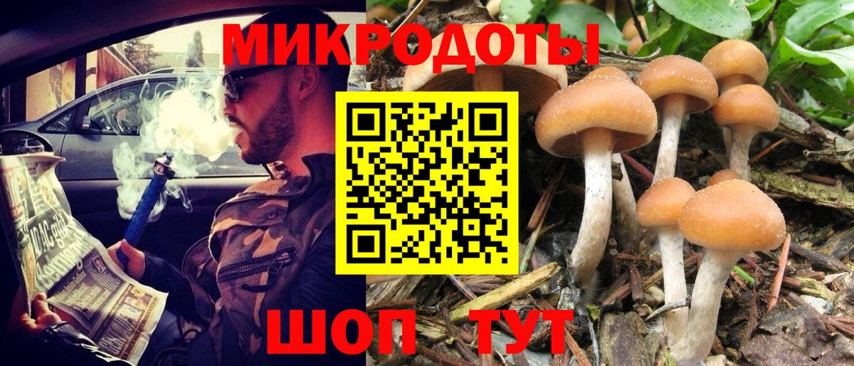 Псилоцибиновые грибы мухоморы Сальск
